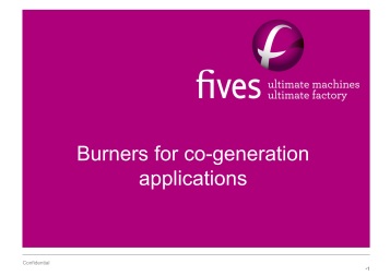Combined cycle and cogen induct burners